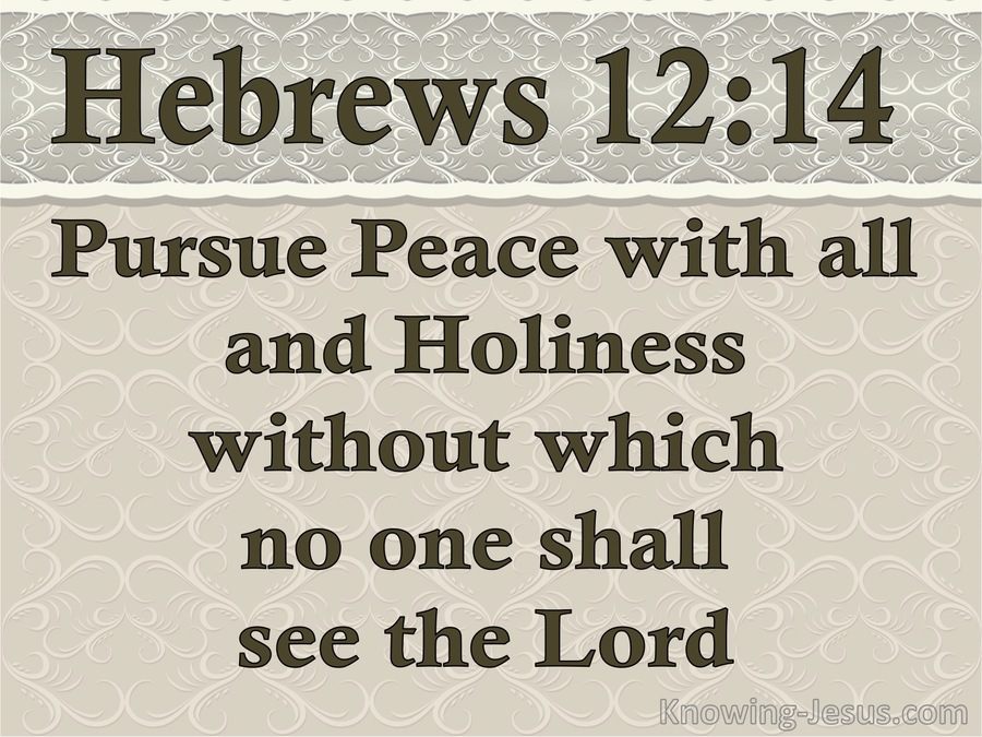 Hebrews 12:14 Pursue Peace And Holiness (beige)